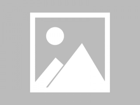 口袋AI助手核心原理解析：离线大模型与Agent架构入门